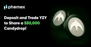 YZY MONEY